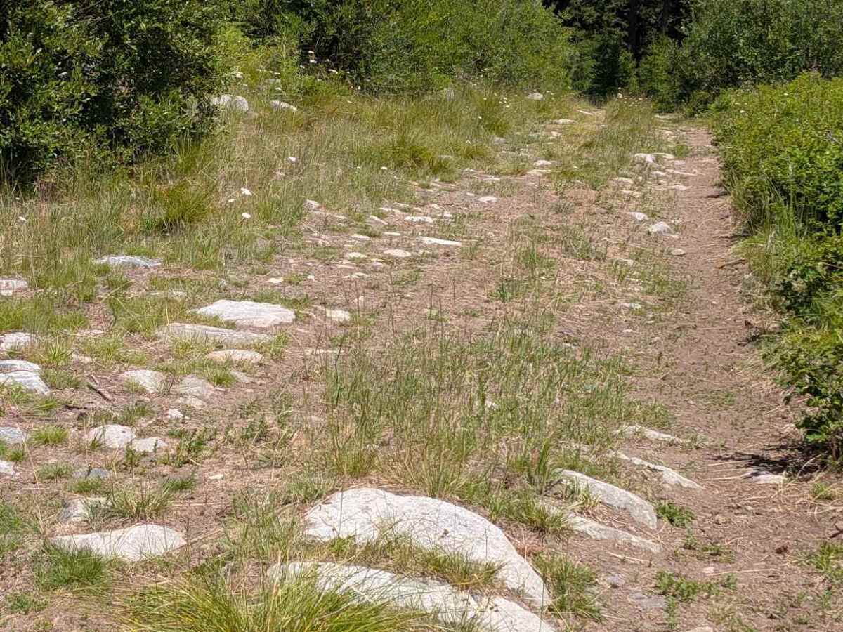 Big Toad Rd trail photo