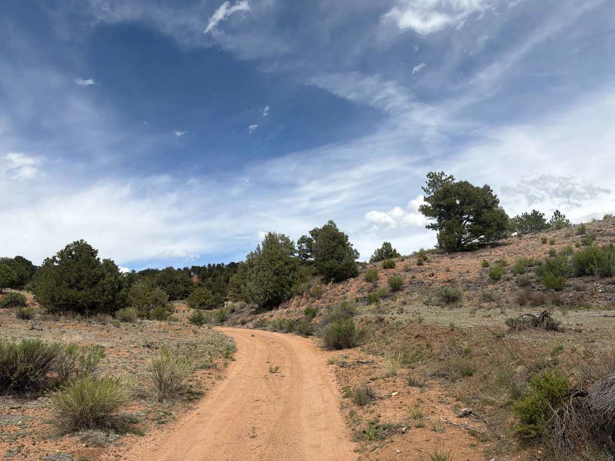 BLM 6161 photo 5