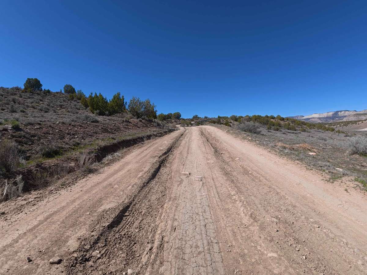 BLM V 3/10 photo 3