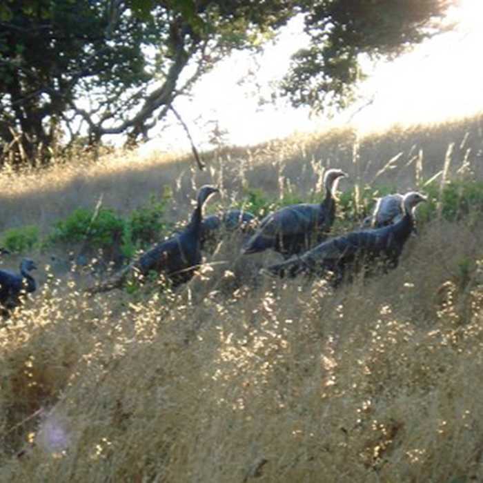 Near China Camp State Park Loop