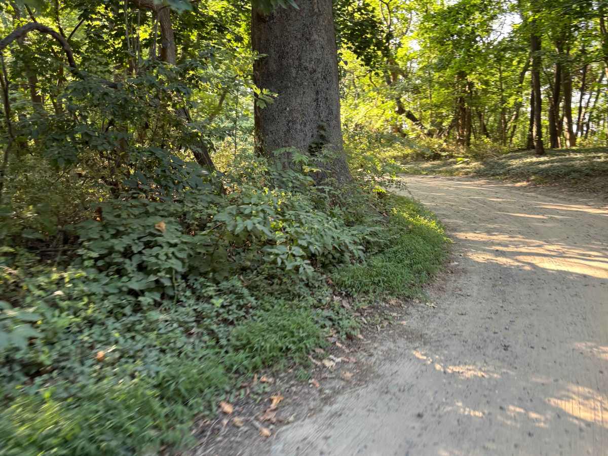 UTT Connector Trail photo 3