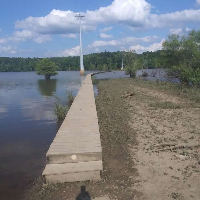 Near Jimmy Rogers Road Out-and-Back