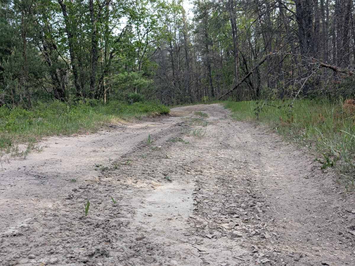 Little Canyon Creek Trail trail photo