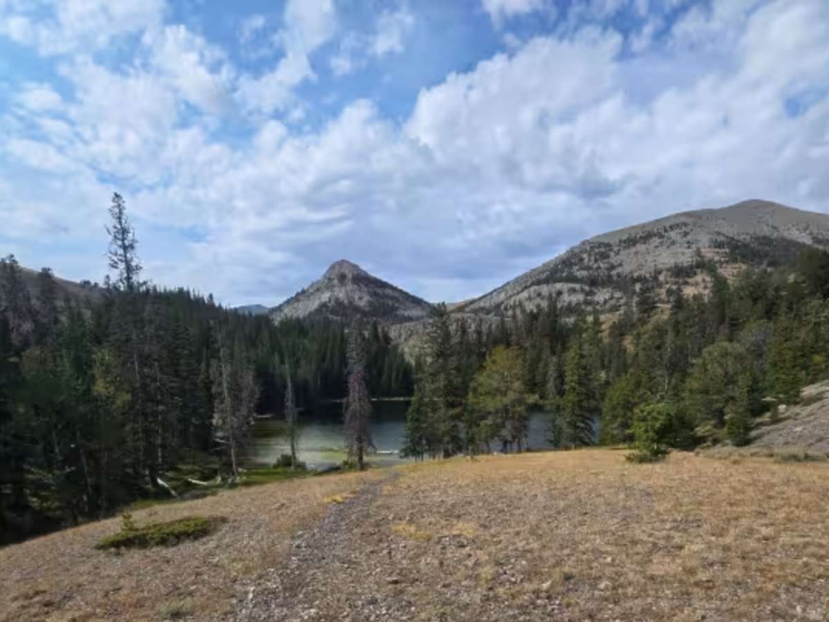Webber Creek - Divide Creek photo 3
