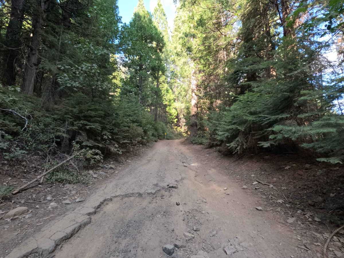 Buffin Meadow Road - FS 5S043 photo 4
