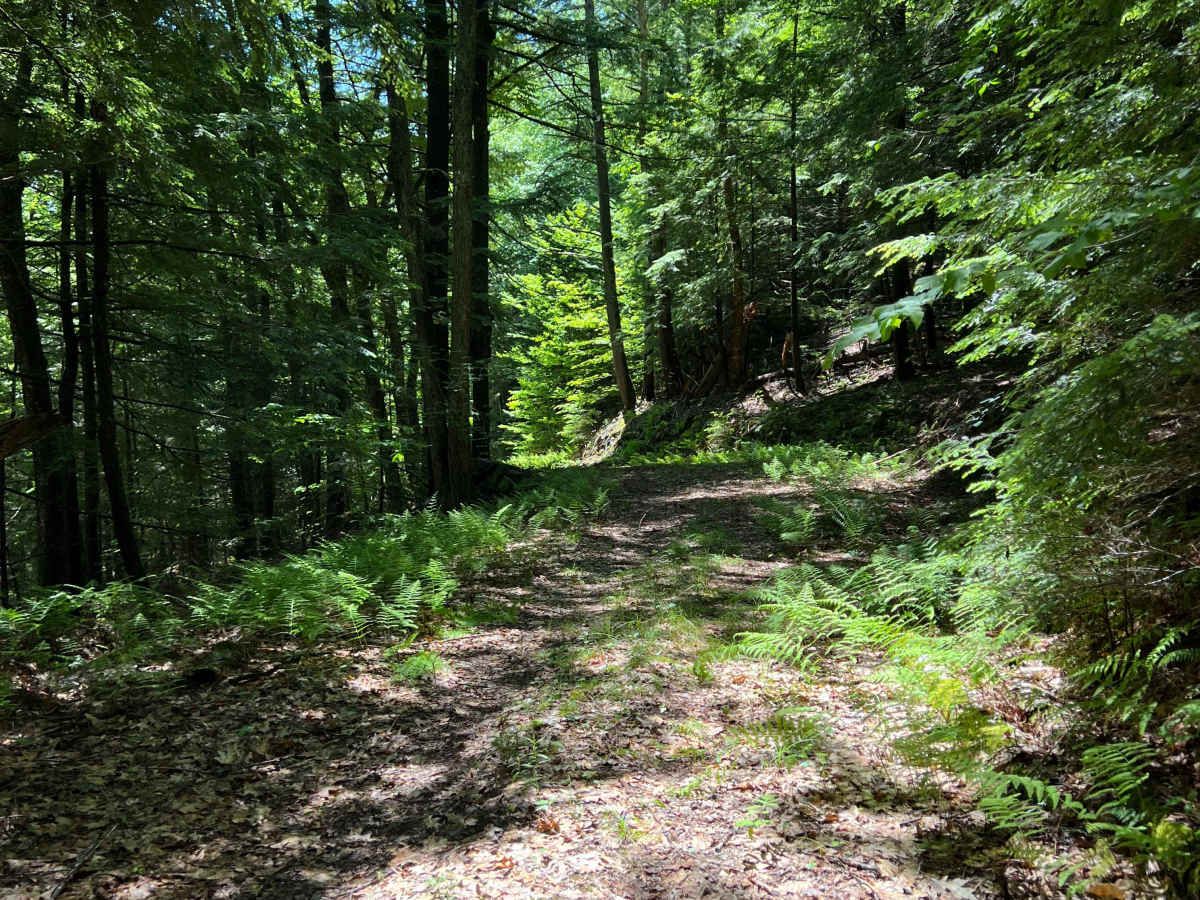 Porter Road photo 5