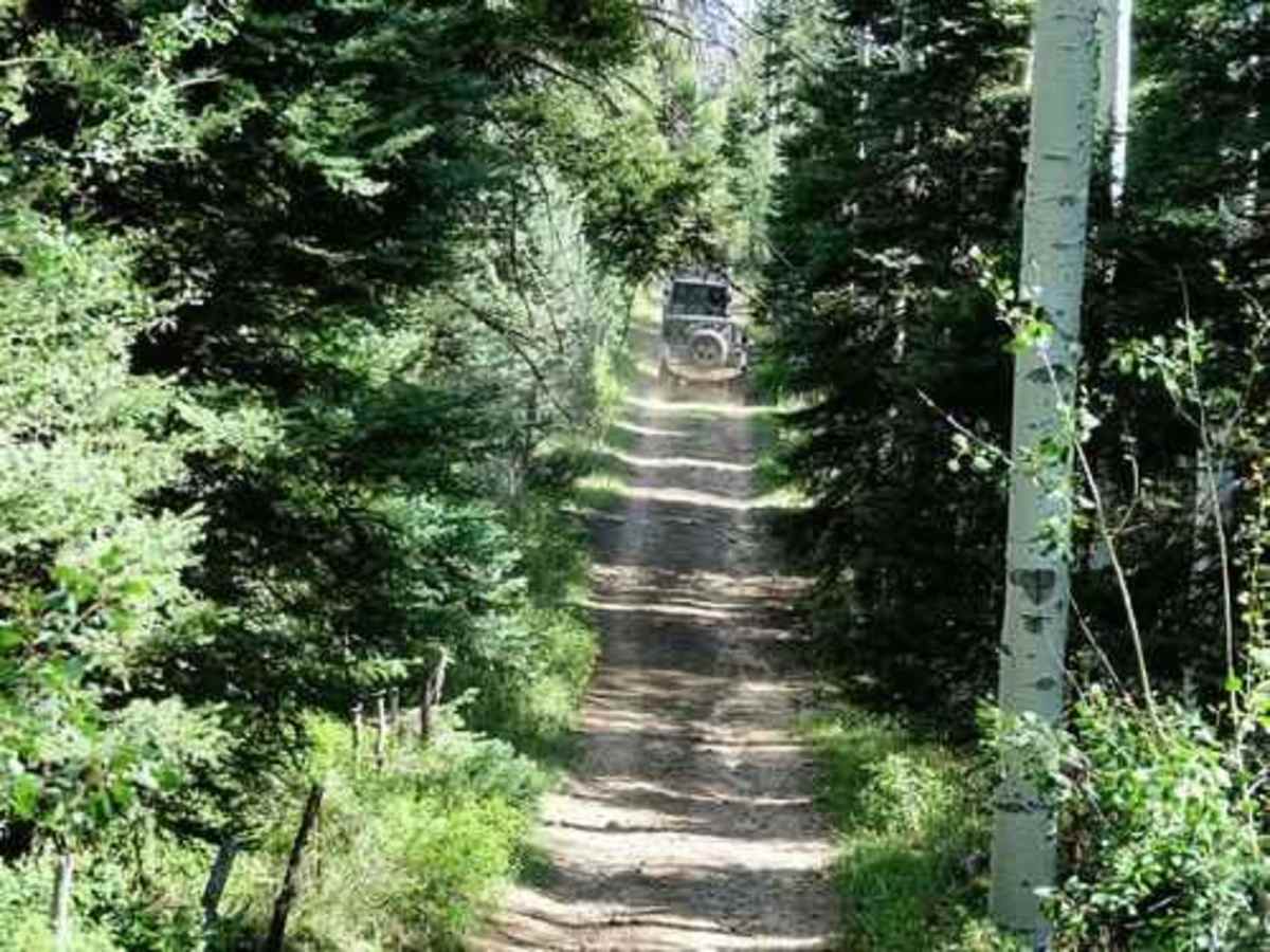 Roubideau Jeep Trail photo 3
