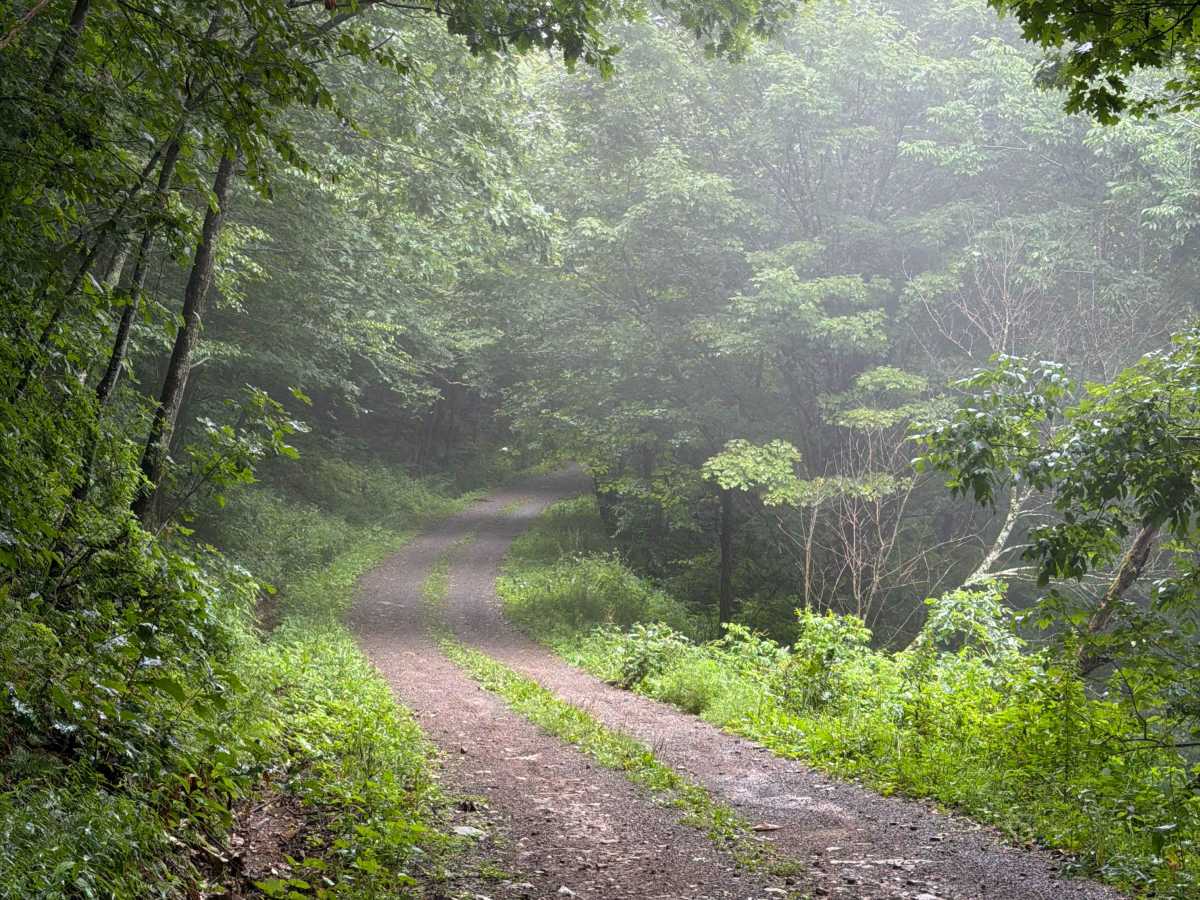 Briery Run Road - CFR 29 photo 3