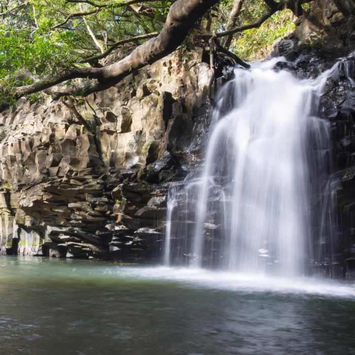 Near Twin Falls Hike + Wailele Farm