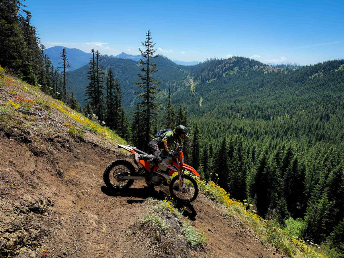 Allen Mountain Trail - 269 photo 5