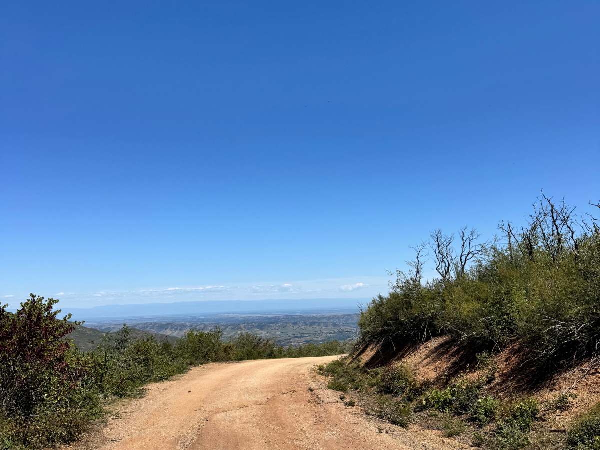 Road 307 photo 3