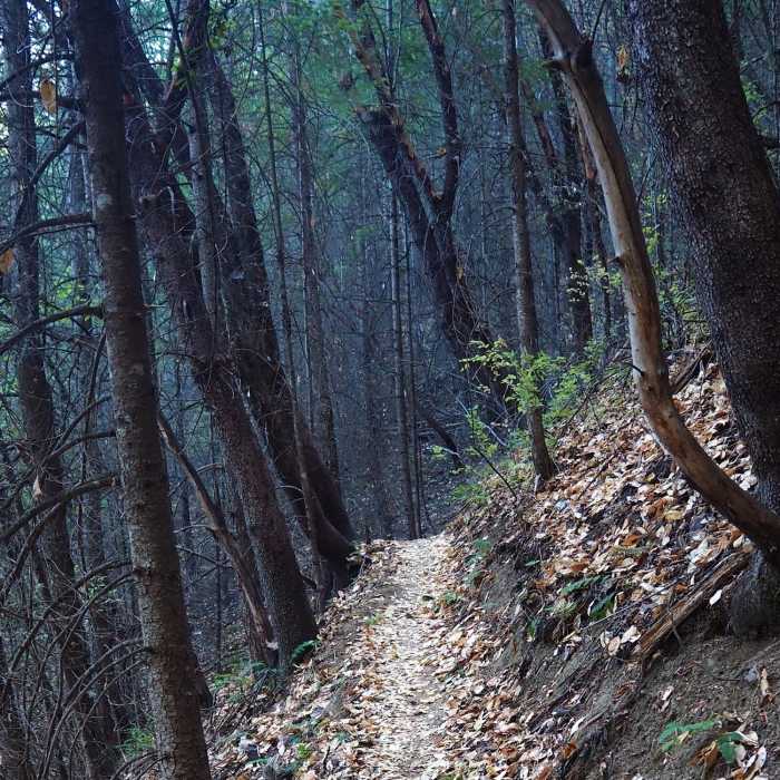 Near Jackson Creek Nature Trail