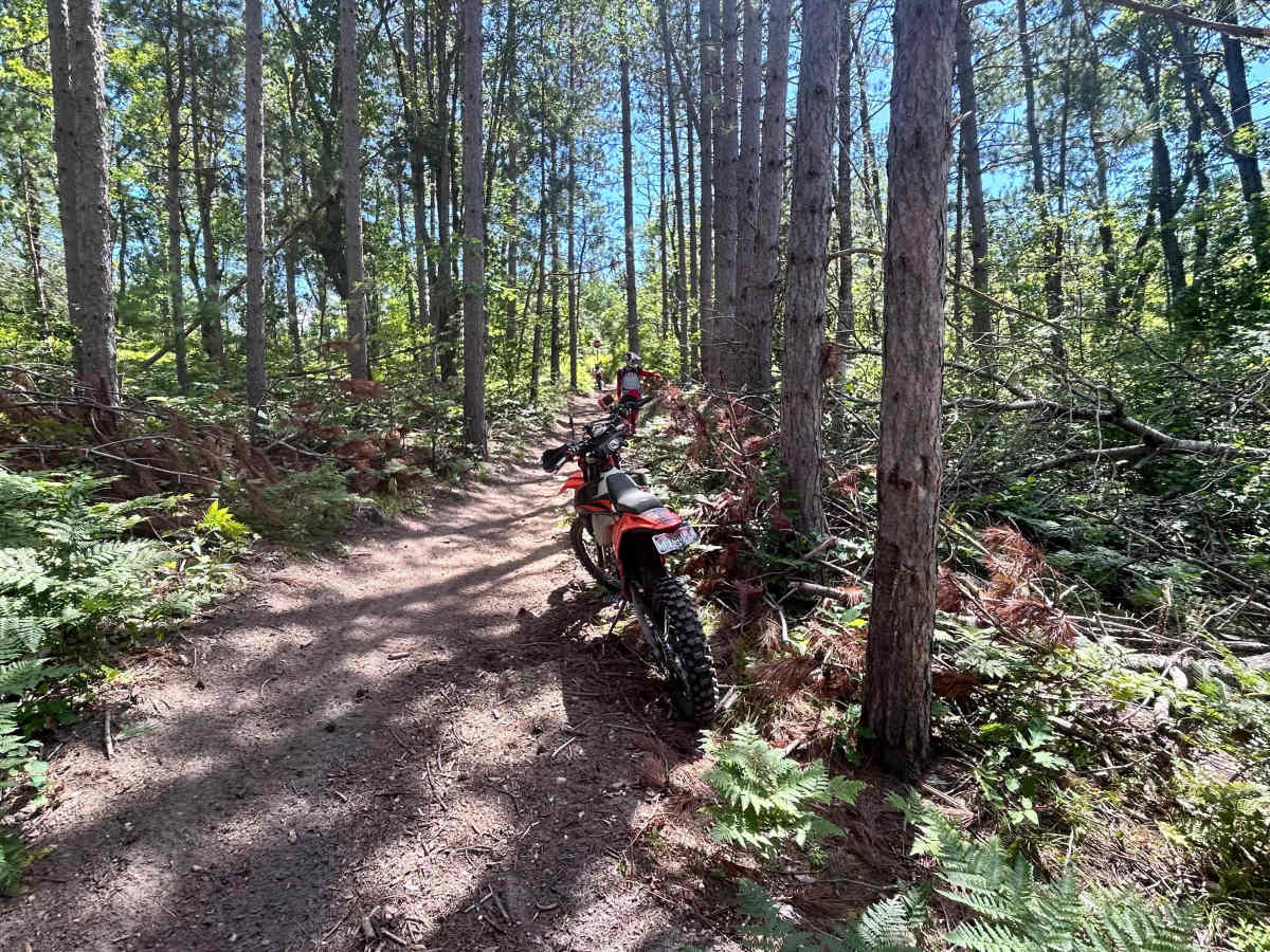 Big Bear Connector  photo 2