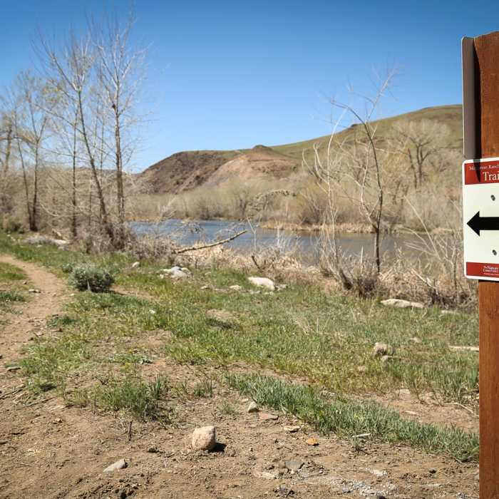 Near McCarran Ranch Preserve River Trail