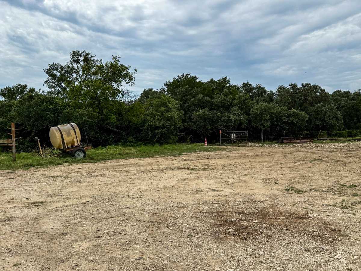 Clara's Orchard photo 5
