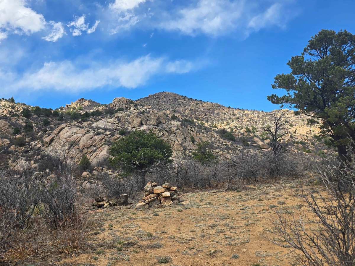 BLM 6210 photo 5