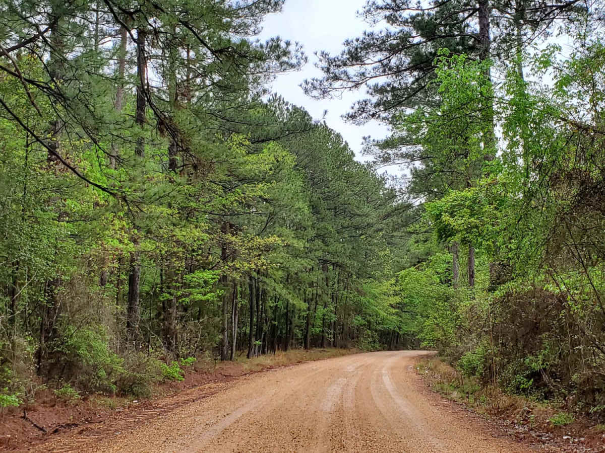 The Arkansas Overland Route - Section 9 - Norphlet Trek trail photo