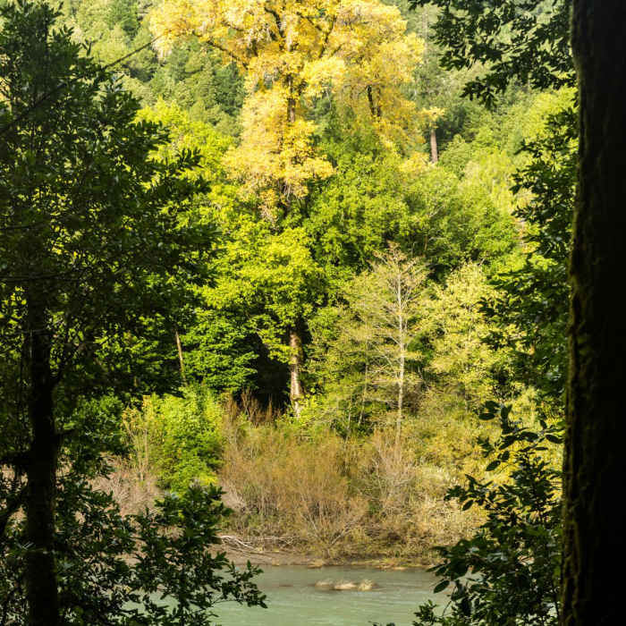 Near Riverview Trail