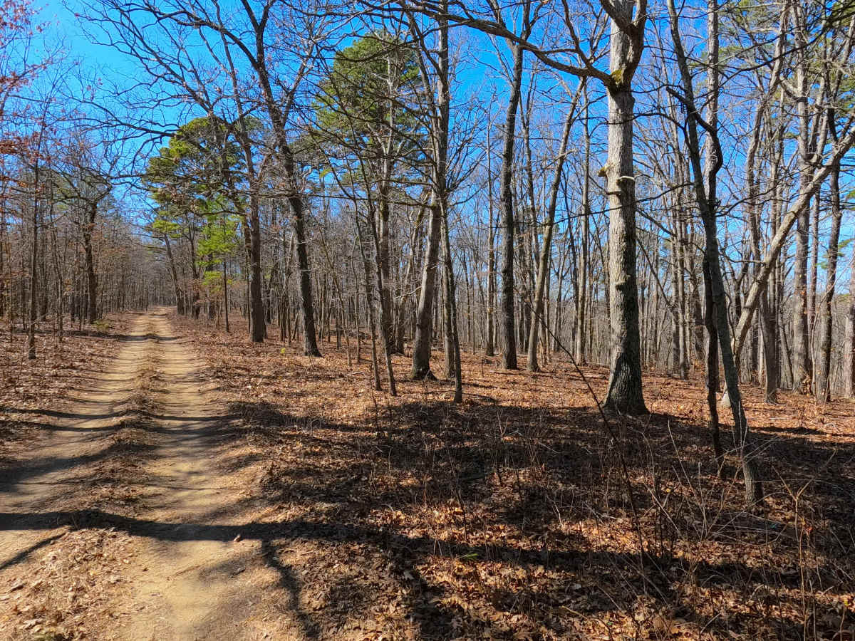 Coffman Hollow - FS 2907 photo 4