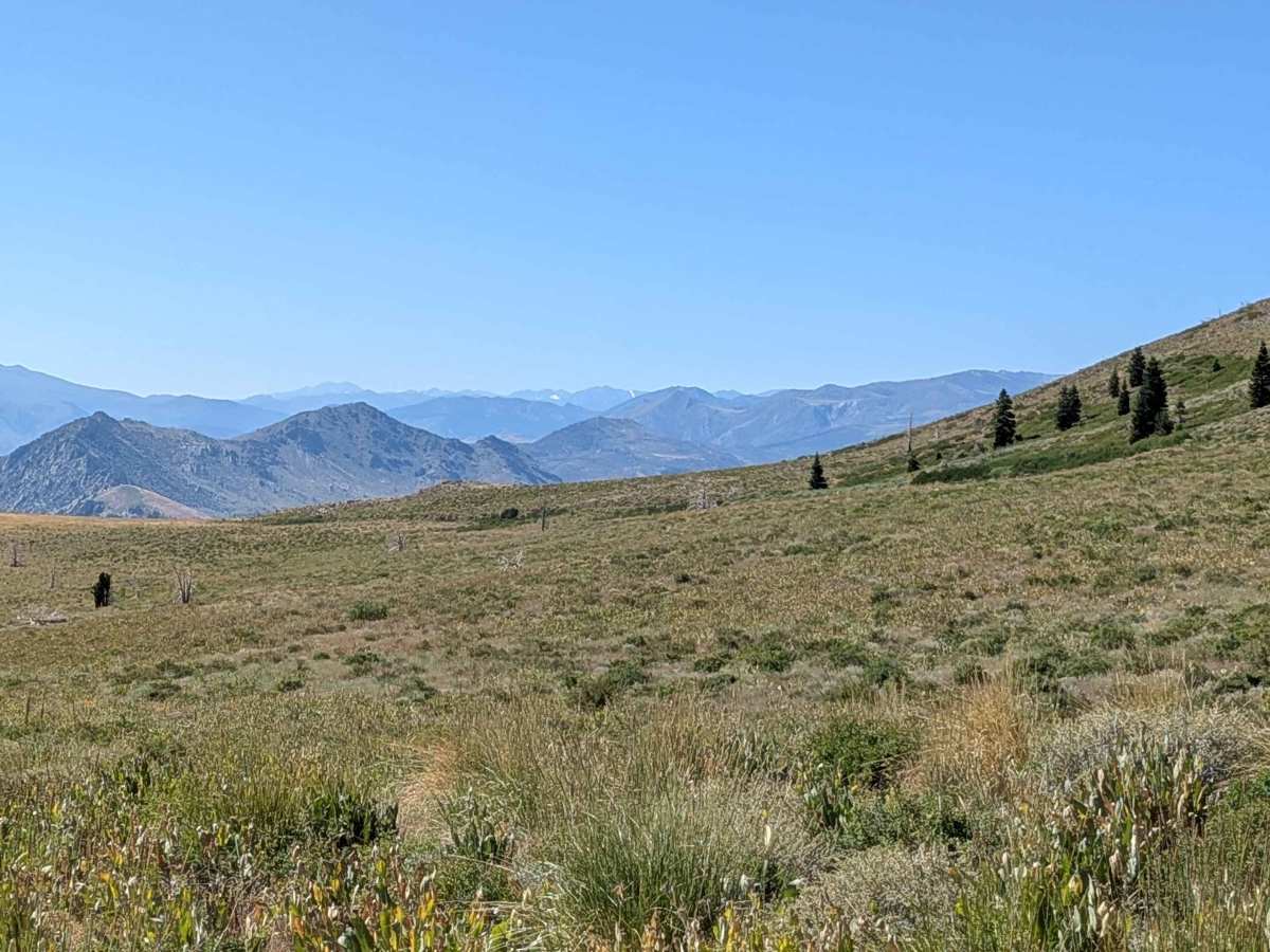 Virgil Connell Loop Road - FS 32087 photo 4
