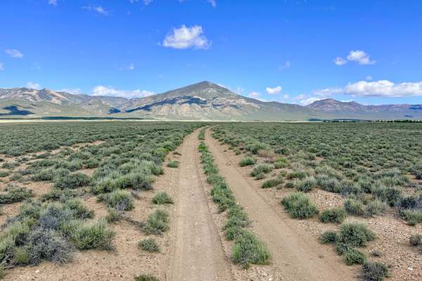 Anderson Field Road - FS 44811