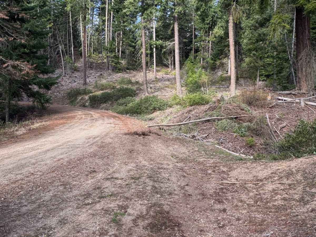 Russell Ridge - FS 1306 photo 6