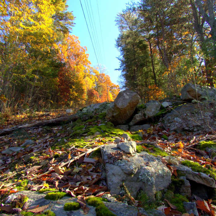 Near Fort Mountain State Park 301 Loop