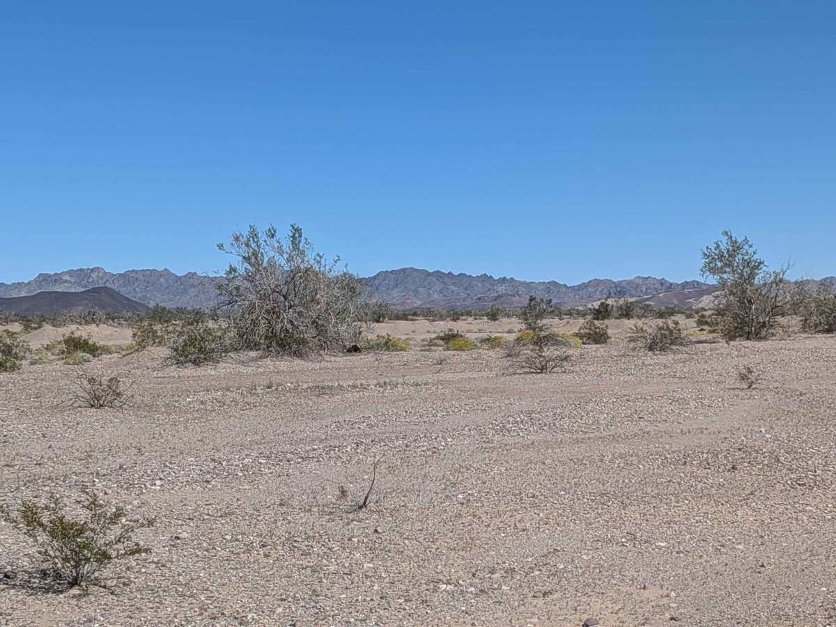 BLM 776 photo 4