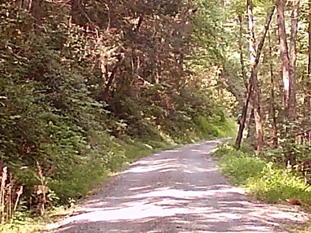 Weikert Run Road photo 2