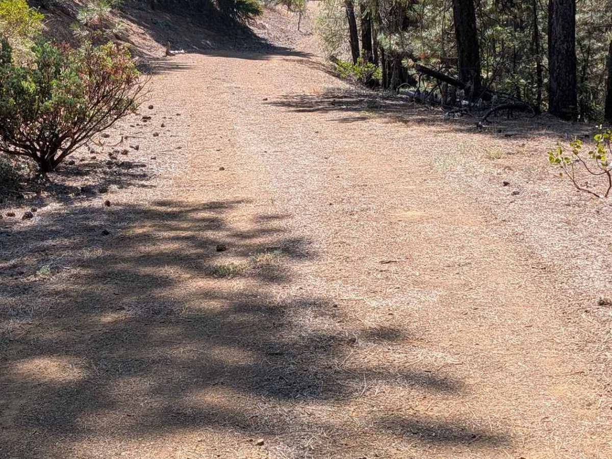 Plumb Road - FS 1N26  photo 2