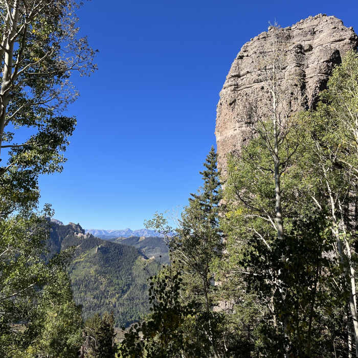 Near Alpine Trail- Silver Jack Segment
