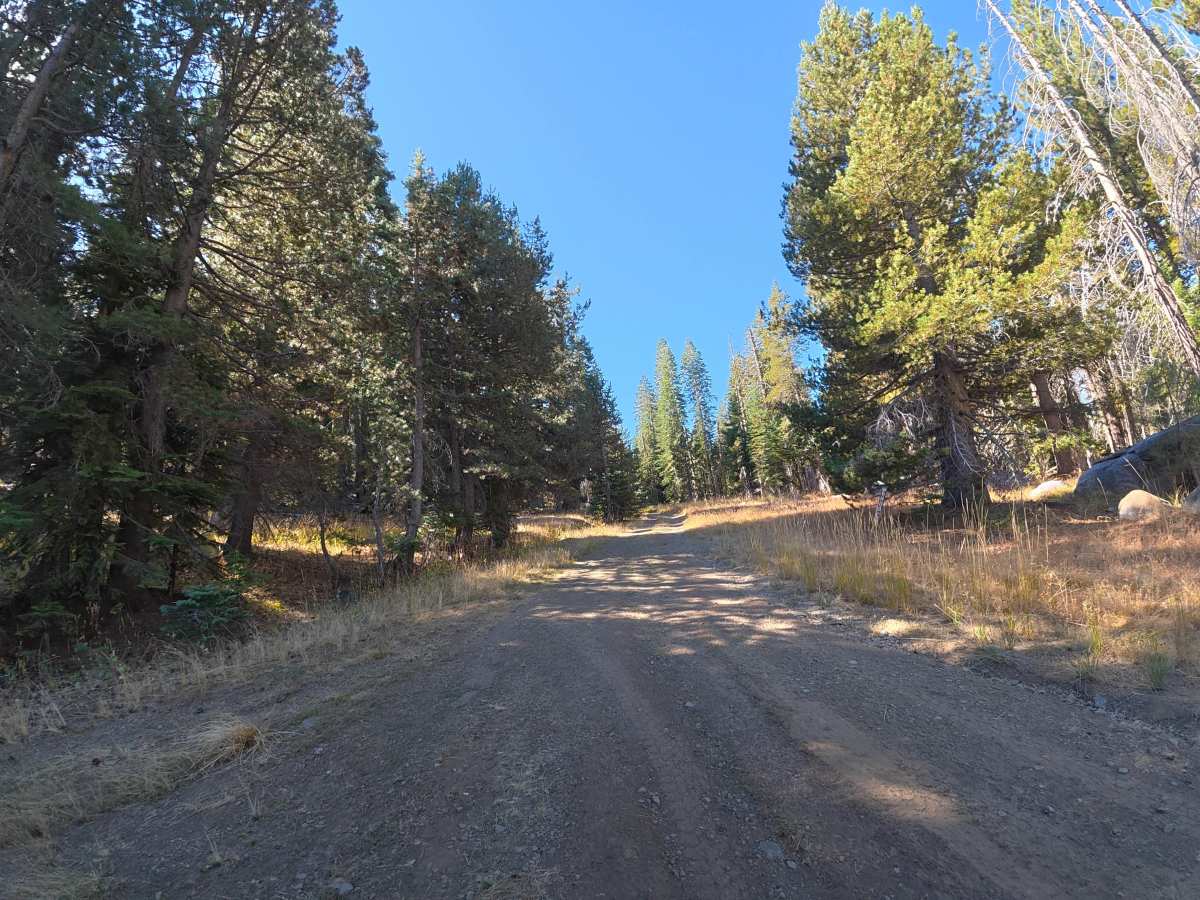 FS 6N08 East trail photo