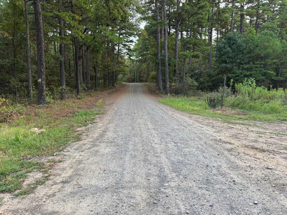 Mount Salem Road photo 5