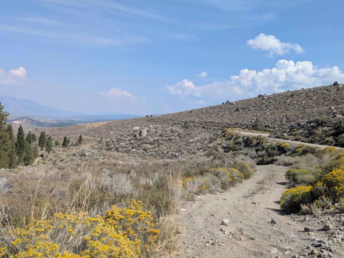 Old Green Creek Road trail photo