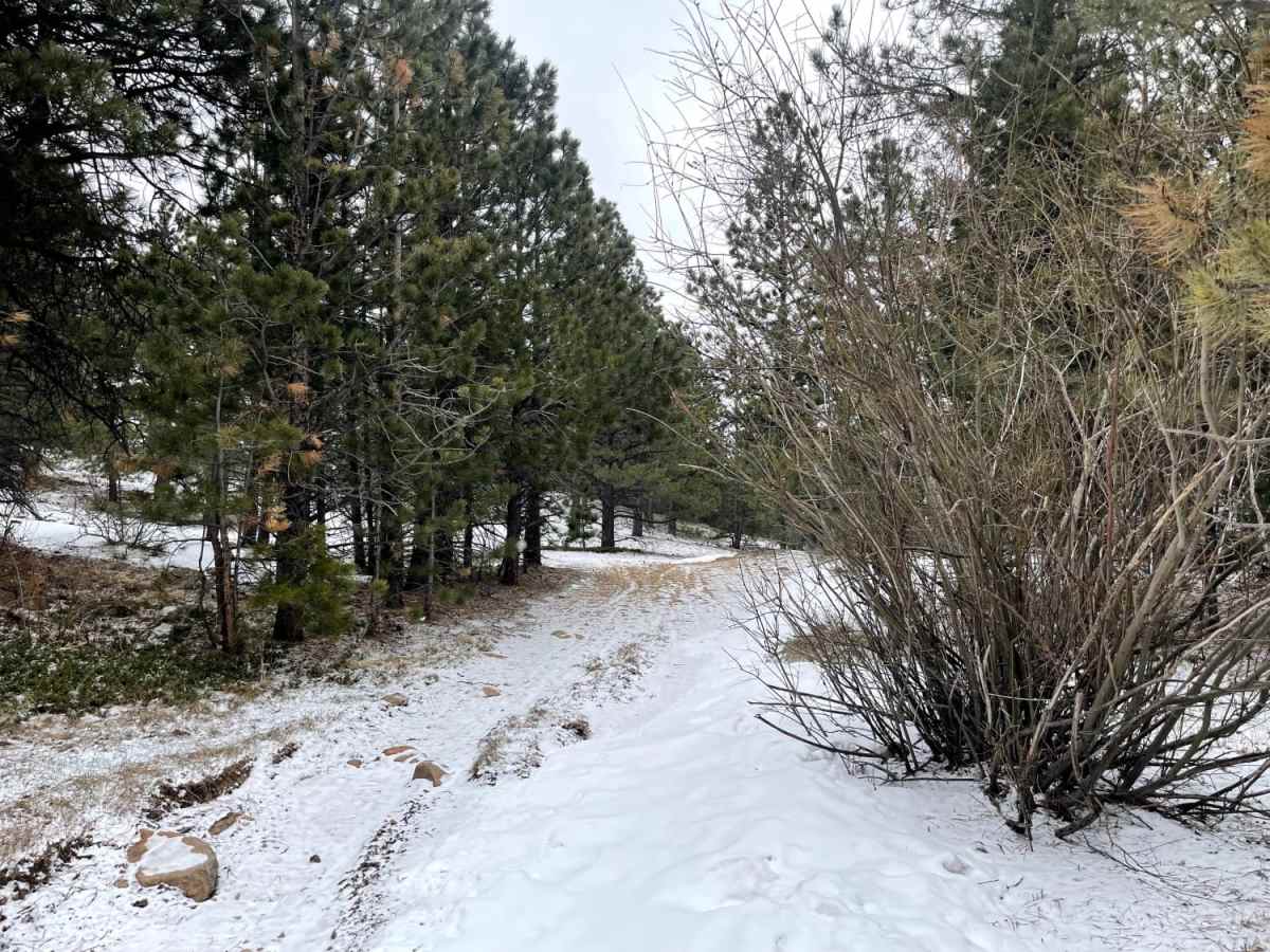Gold Lake Trail photo 3