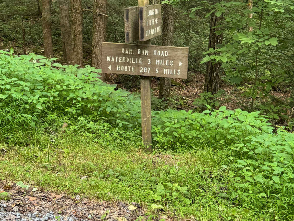 Dam Run Road photo 5