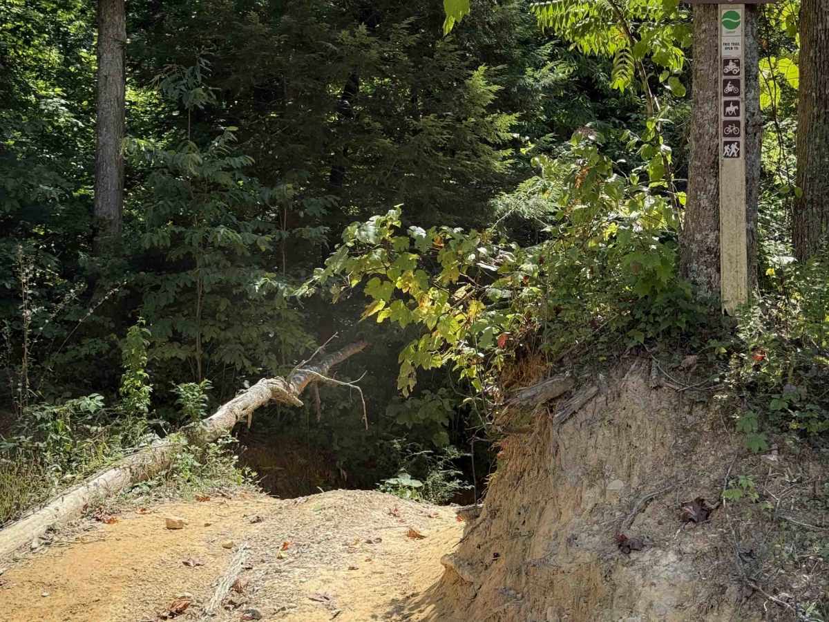 Tram Branch Trail trail photo