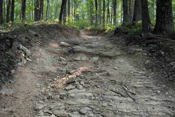 Round Mountain Trail