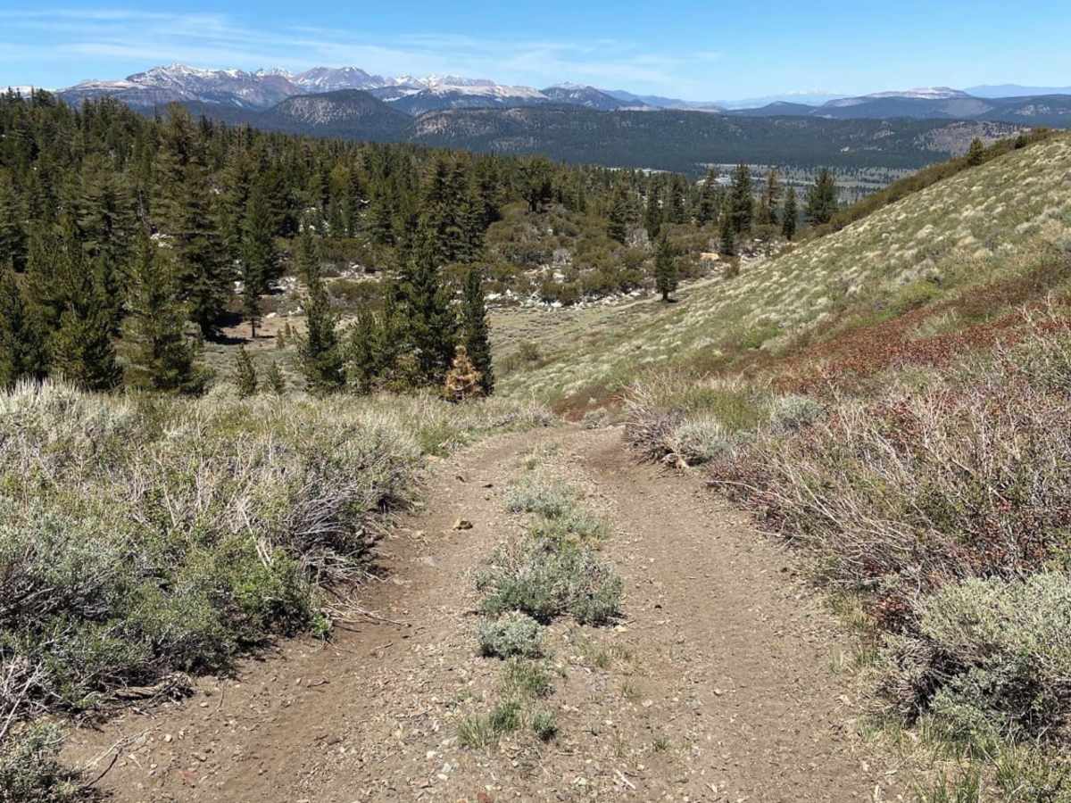 The Road to Nowhere photo 4