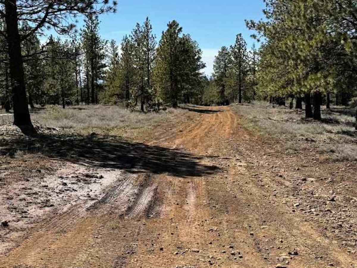 Dawson Road photo 4