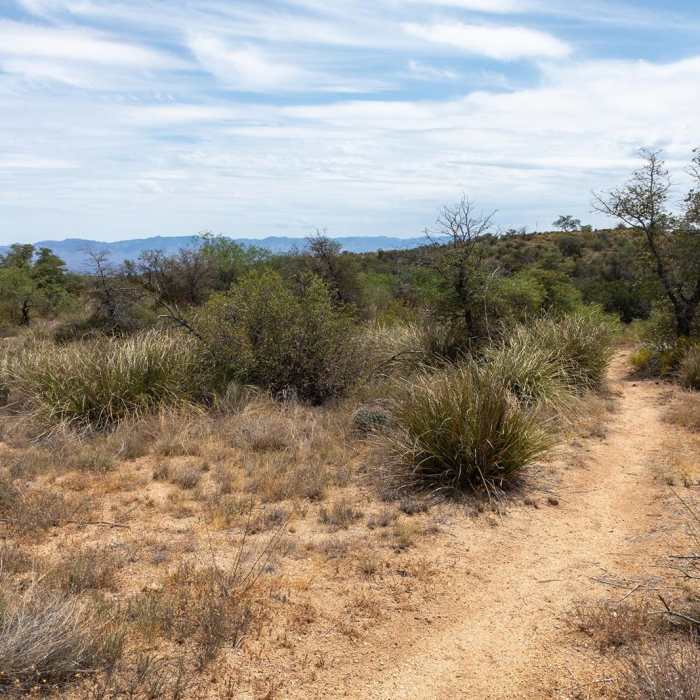 Near Nature Trail Loop