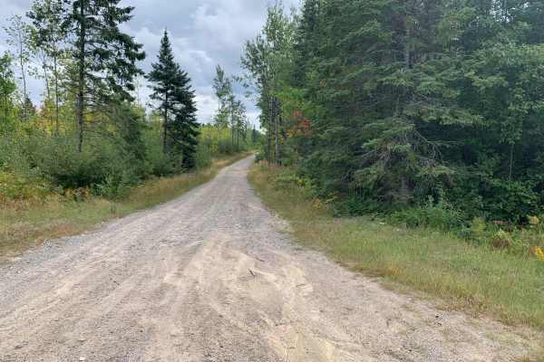 Samuelson Trail