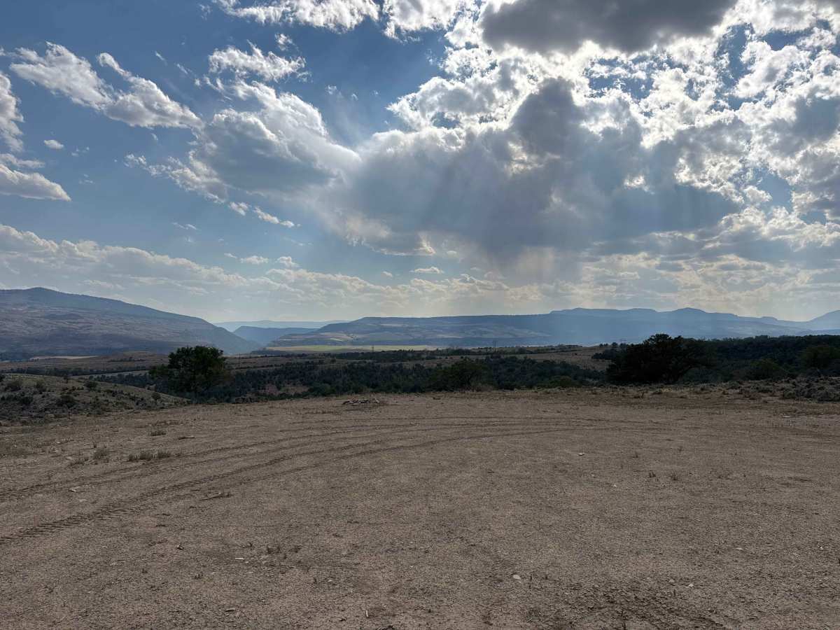 BLM 8569 photo 5