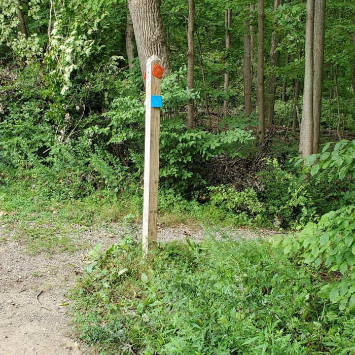 TKT Junction Near Teatown-Kitchawan Trail (TKT)