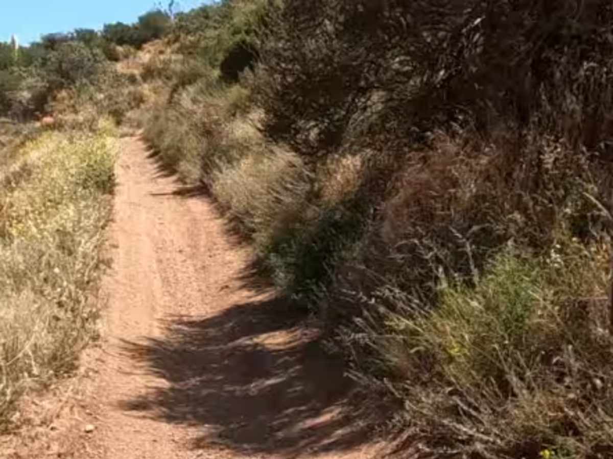 TK OHV Trail trail photo