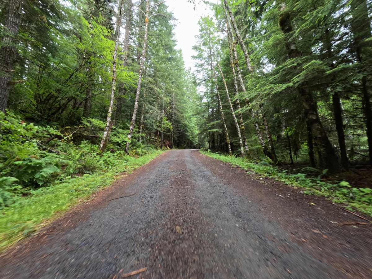 Burnt Lake Trailhead - FS 1825109 photo 4