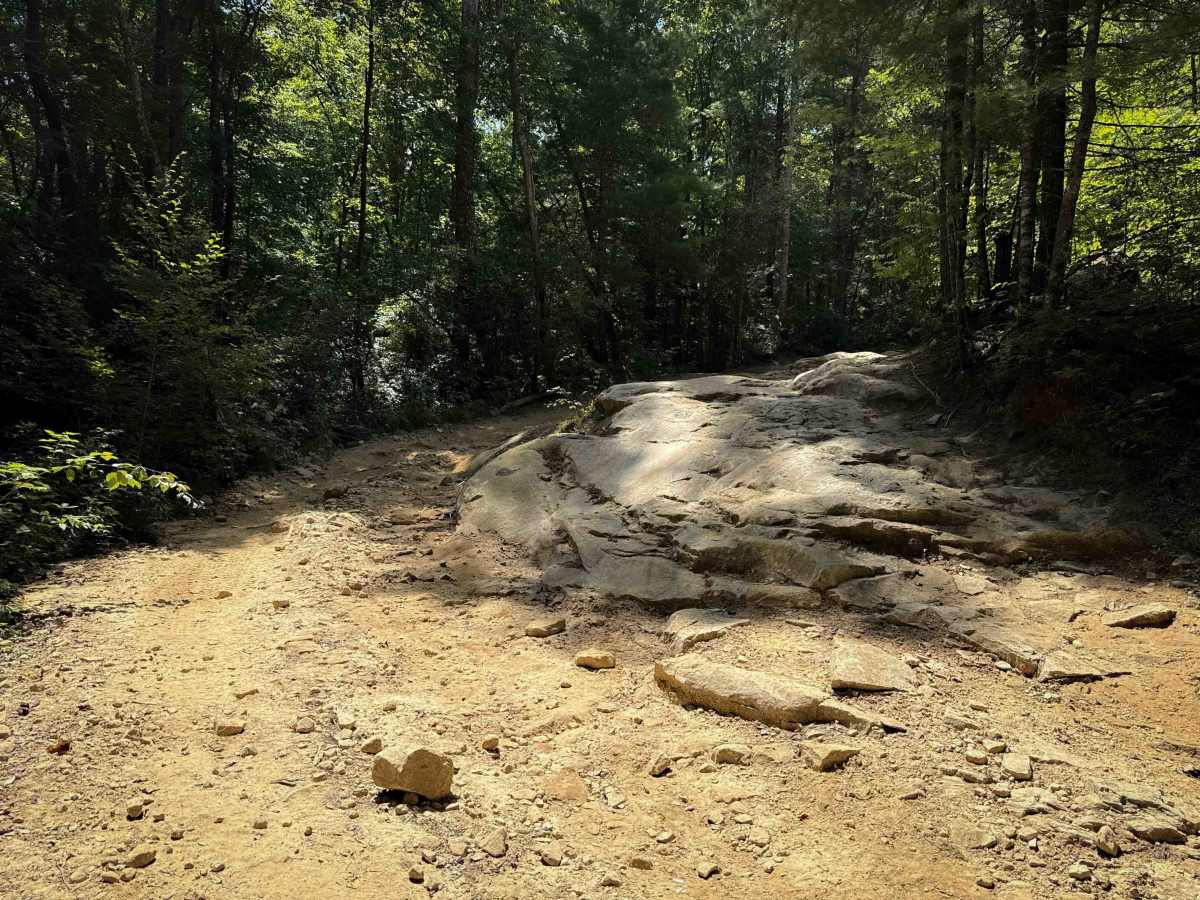 Jennings Creek Trail 8  photo 5