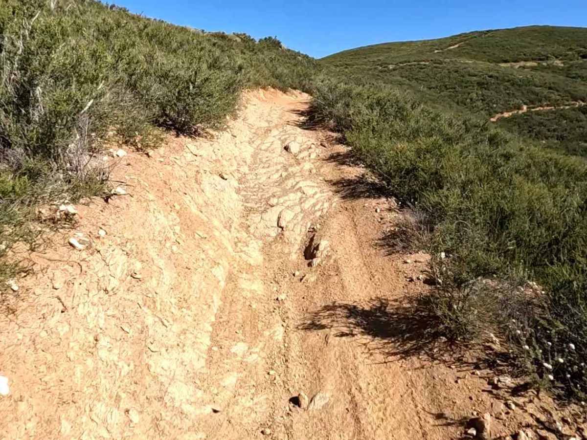 Ridge Trail photo 3