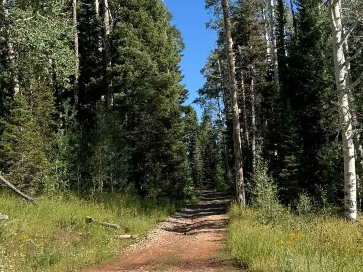 Four Mile photo 2