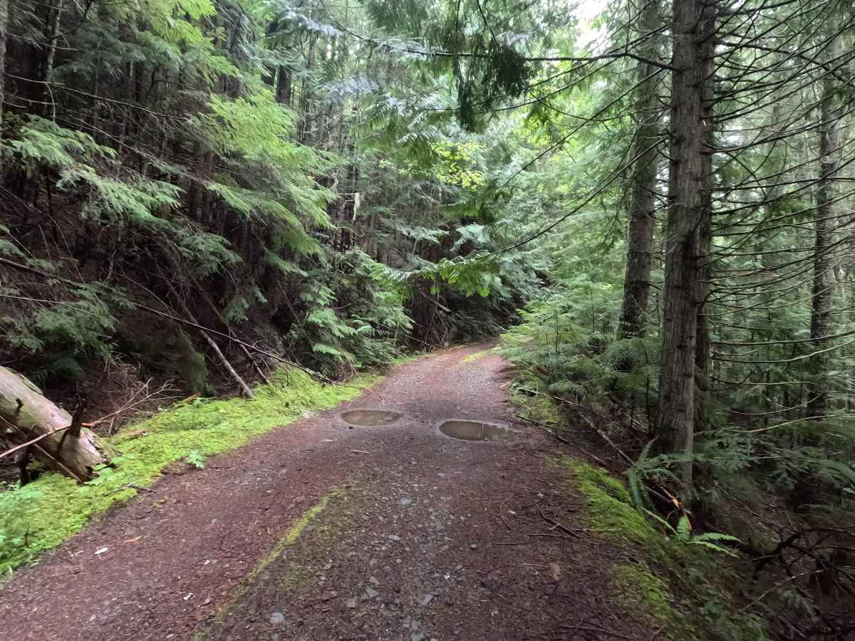West View - FS 3124 trail photo